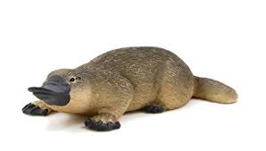 duck-billed platypus